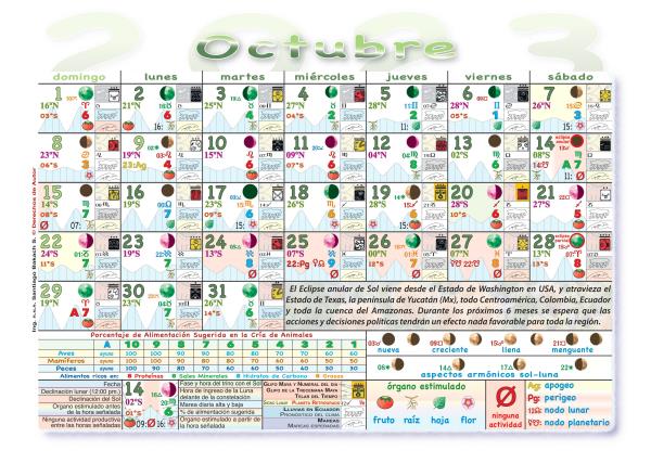  2025 2024 Almanaque Calendario lunar con las fases lunares Actividades agricolas