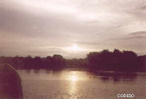 The Mangrove near El Viento Esmeraldas Province