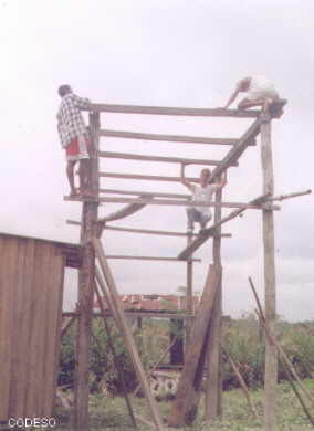 Pichangal: preparación del mesón